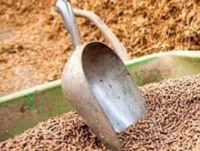 Практические советы по использованию зерна нового урожая