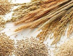 Производство сиропообразных продуктов на основе хлебных злаков